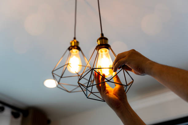 Best Licensed Electrician  in Fort Pierre, SD
